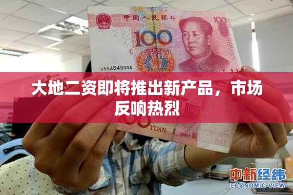 大地二资即将推出新产品，市场反响热烈