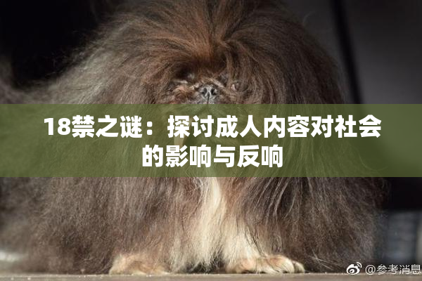 18禁之谜：探讨成人内容对社会的影响与反响