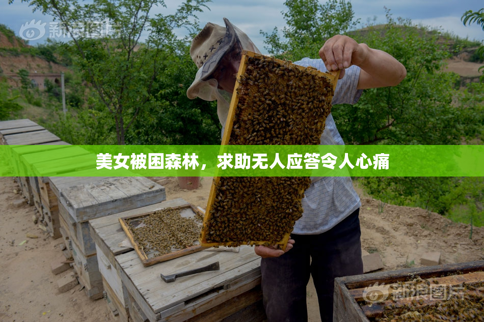 美女被困森林，求助无人应答令人心痛