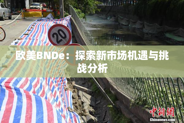 欧美BNDe：探索新市场机遇与挑战分析