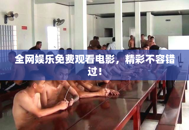 全网娱乐免费观看电影，精彩不容错过！