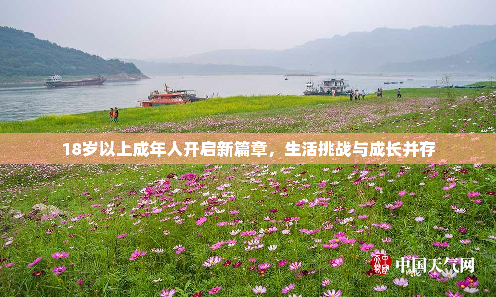 18岁以上成年人开启新篇章，生活挑战与成长并存