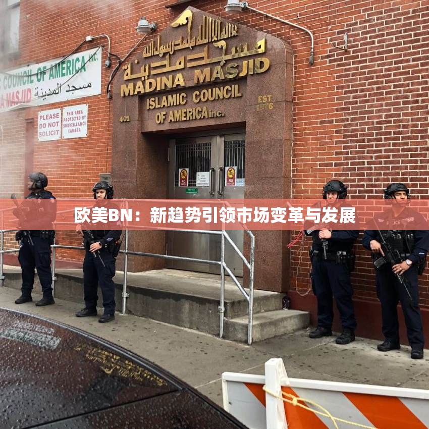 欧美BN：新趋势引领市场变革与发展