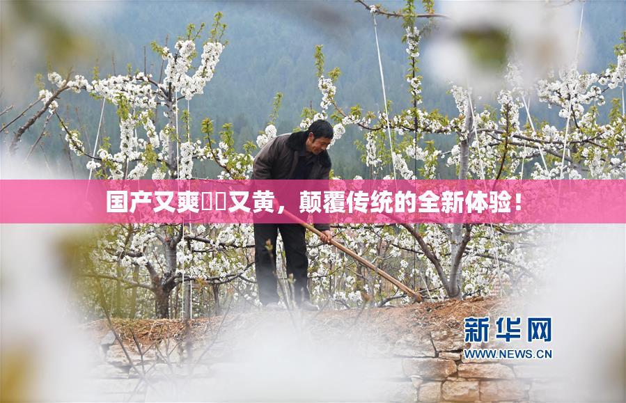 国产又爽❌‌又黄，颠覆传统的全新体验！