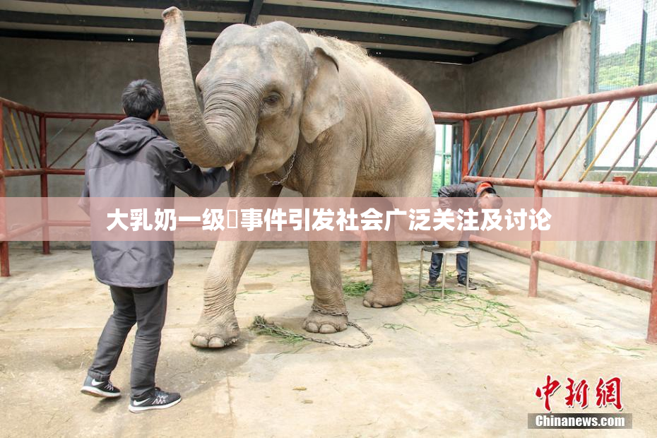 大乳奶一级婬事件引发社会广泛关注及讨论