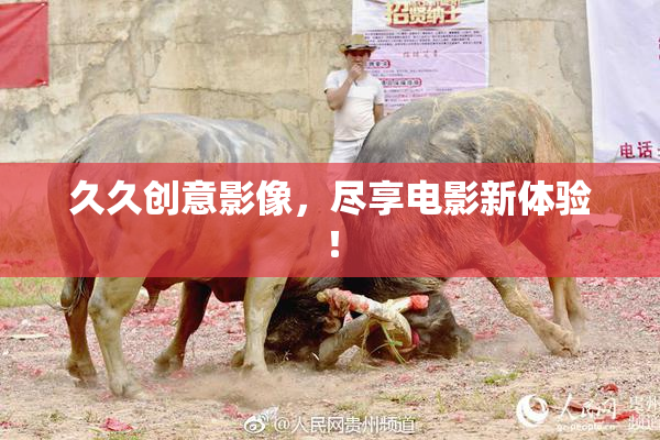 久久创意影像，尽享电影新体验！