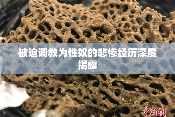 被迫调教为性奴的悲惨经历深度揭露