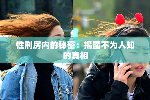 性刑房内的秘密：揭露不为人知的真相