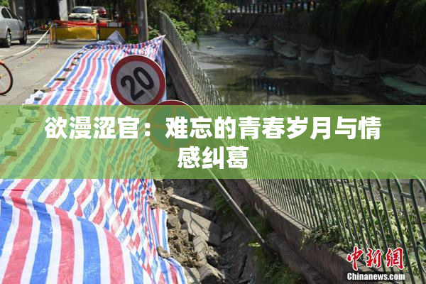 欲漫涩官：难忘的青春岁月与情感纠葛