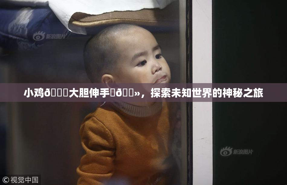 小鸡🐔大胆伸手‌🐻，探索未知世界的神秘之旅