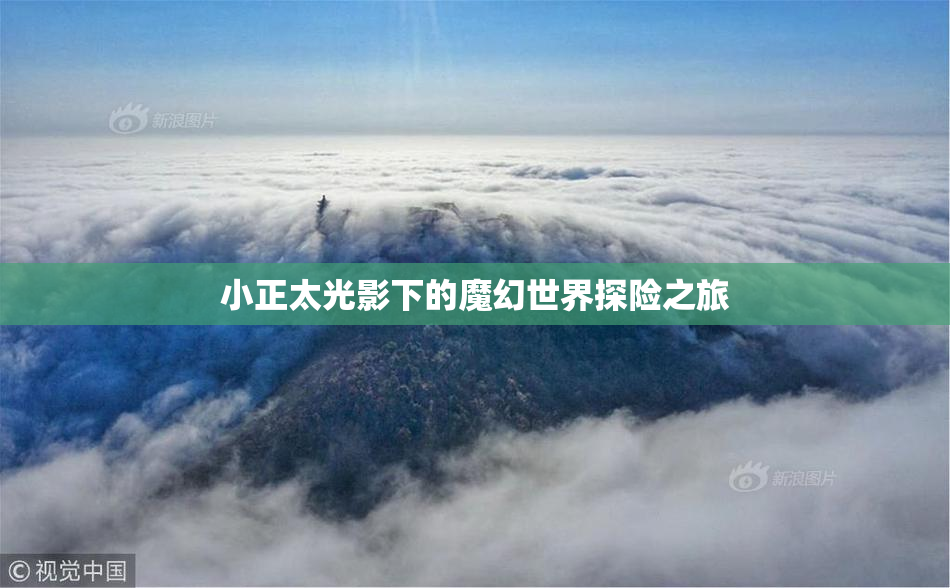 小正太光影下的魔幻世界探险之旅