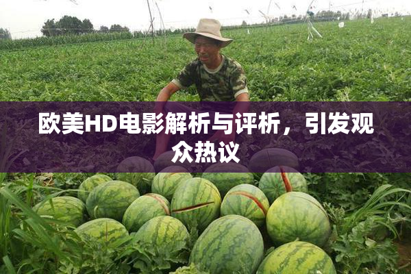 欧美HD电影解析与评析，引发观众热议