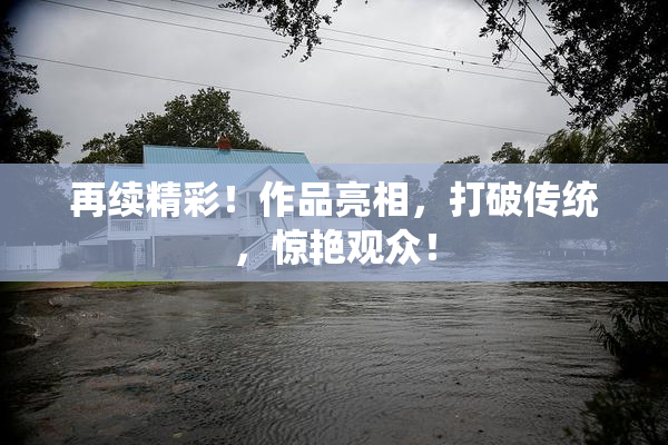 再续精彩！作品亮相，打破传统，惊艳观众！
