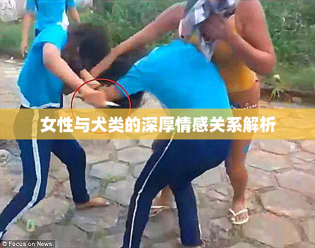 女性与犬类的深厚情感关系解析