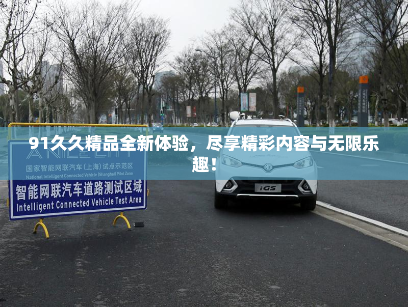 91久久精品全新体验，尽享精彩内容与无限乐趣！