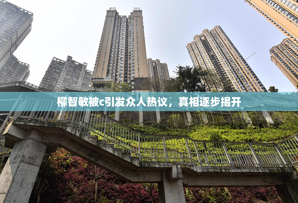 柳智敏被c引发众人热议，真相逐步揭开