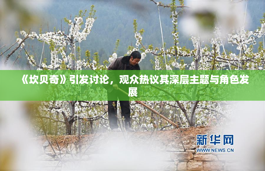《坎贝奇》引发讨论，观众热议其深层主题与角色发展