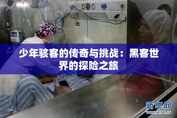少年骇客的传奇与挑战：黑客世界的探险之旅