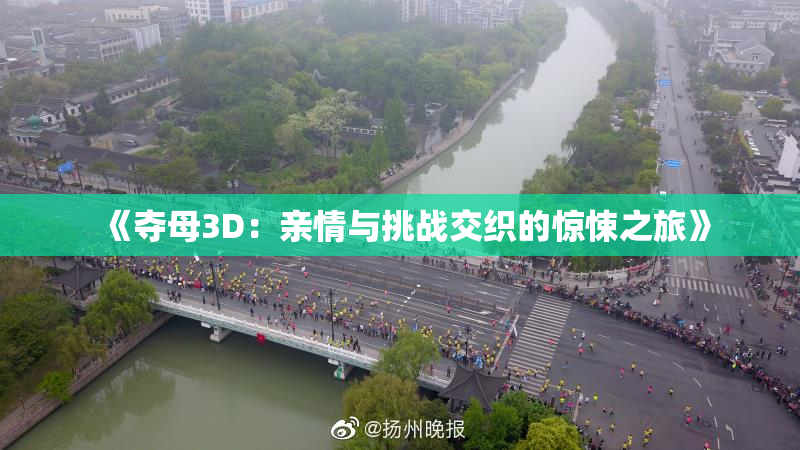 《夺母3D：亲情与挑战交织的惊悚之旅》