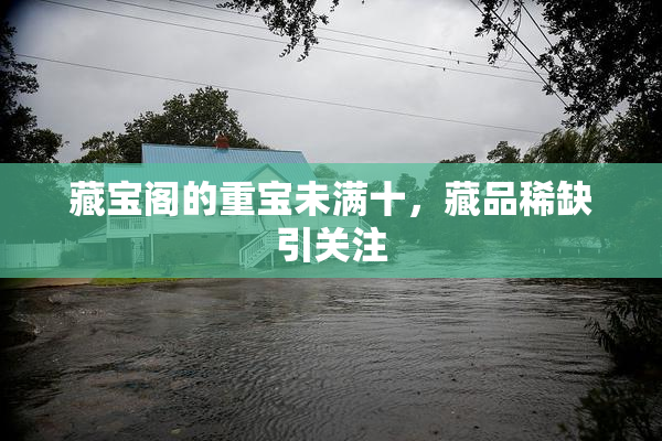 藏宝阁的重宝未满十，藏品稀缺引关注