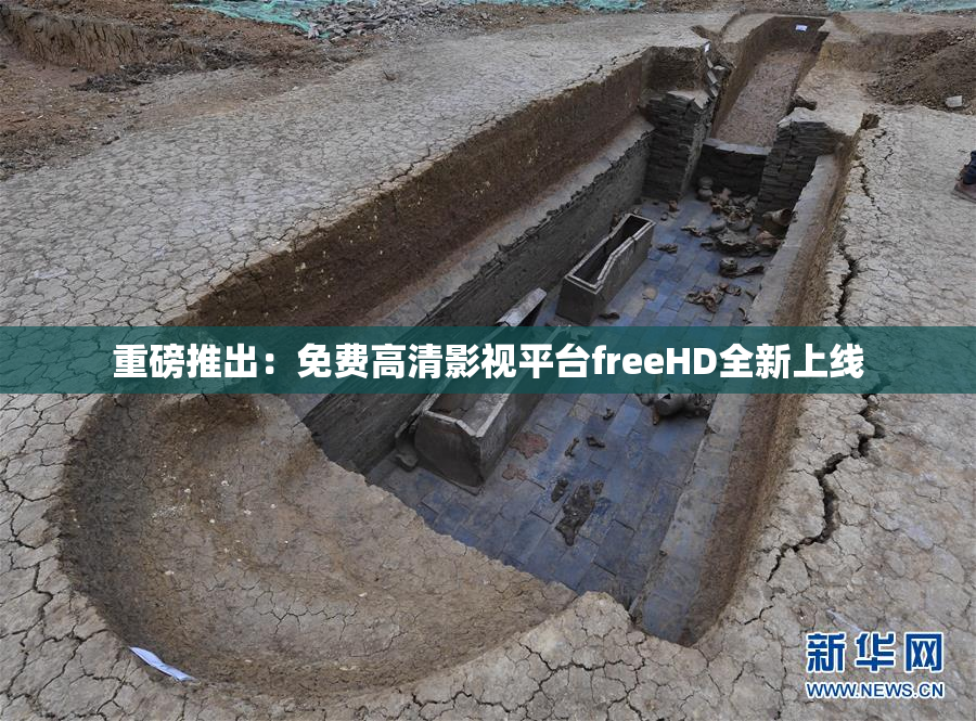 重磅推出：免费高清影视平台freeHD全新上线