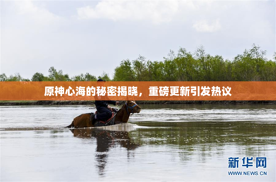 原神心海的秘密揭晓，重磅更新引发热议