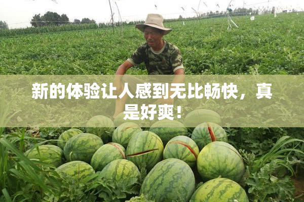 新的体验让人感到无比畅快，真是好爽！