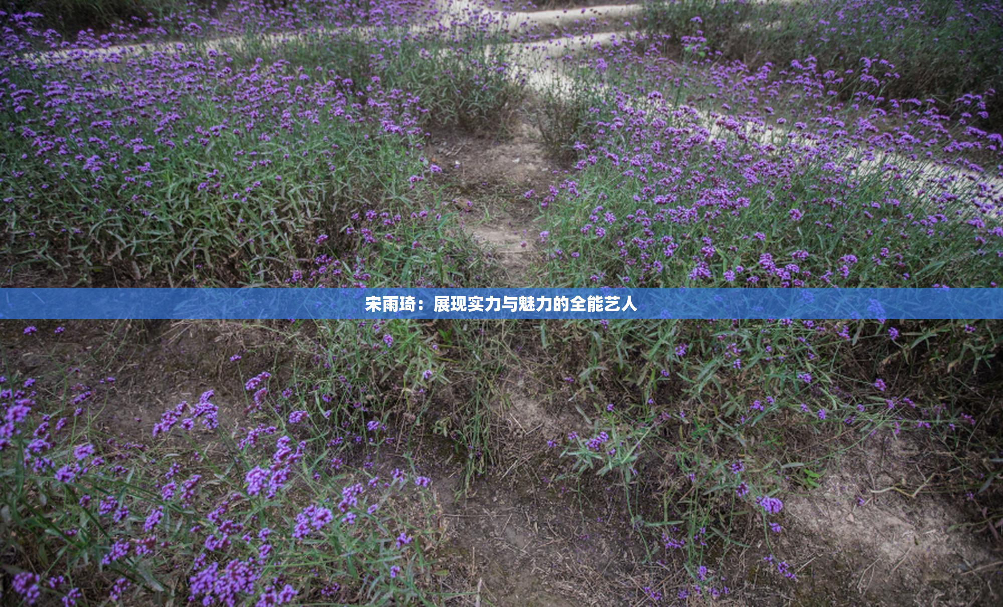 宋雨琦：展现实力与魅力的全能艺人
