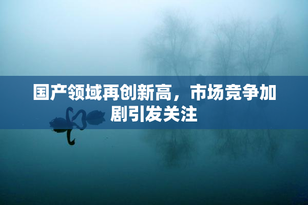 国产领域再创新高，市场竞争加剧引发关注