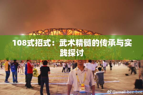 108式招式：武术精髓的传承与实践探讨