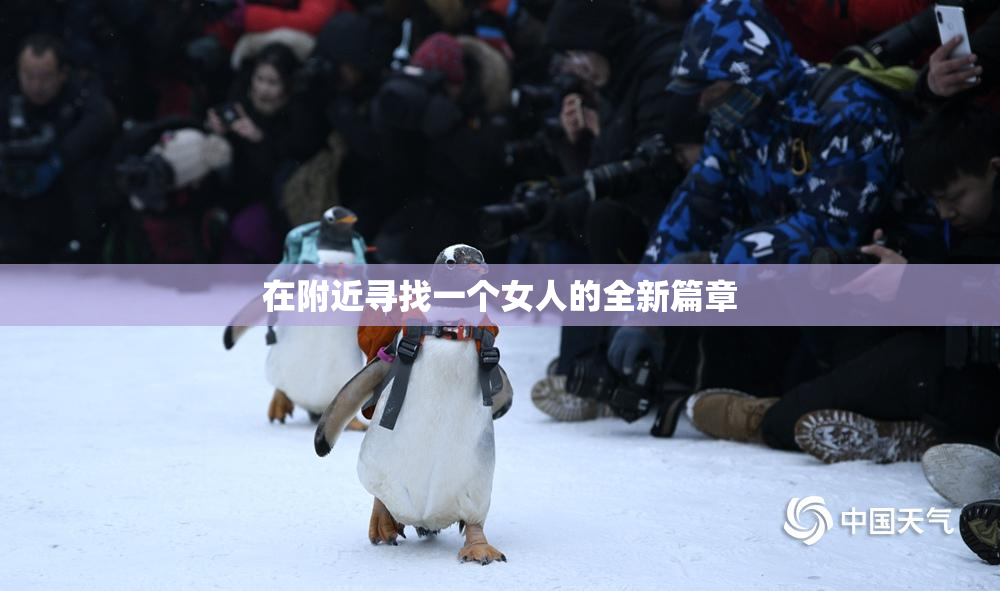 在附近寻找一个女人的全新篇章