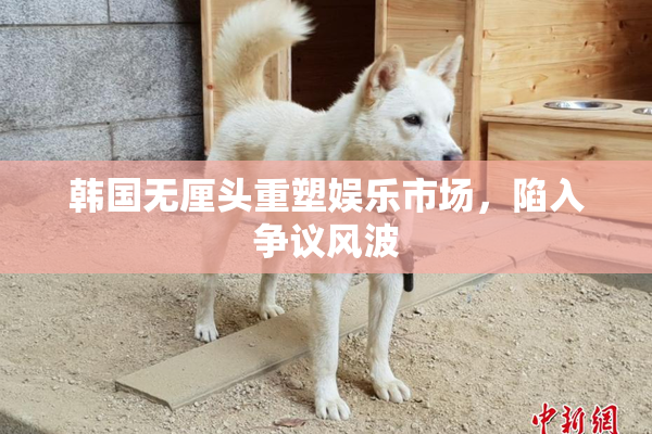 韩国无厘头重塑娱乐市场，陷入争议风波