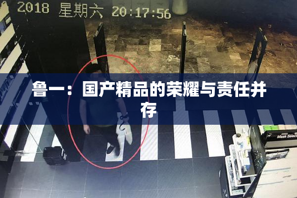 鲁一：国产精品的荣耀与责任并存