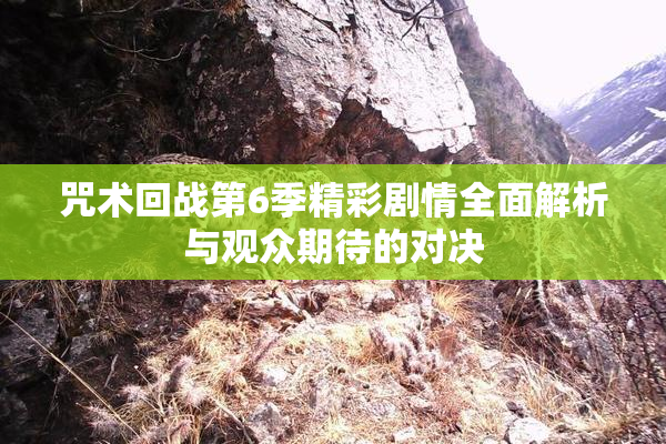 咒术回战第6季精彩剧情全面解析与观众期待的对决