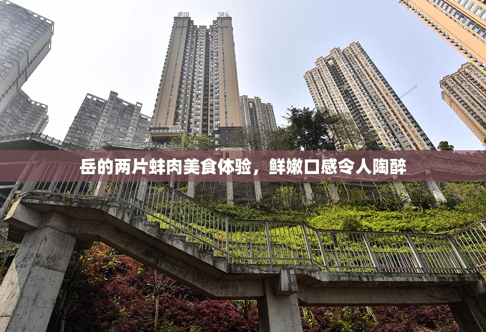 岳的两片蚌肉美食体验，鲜嫩口感令人陶醉