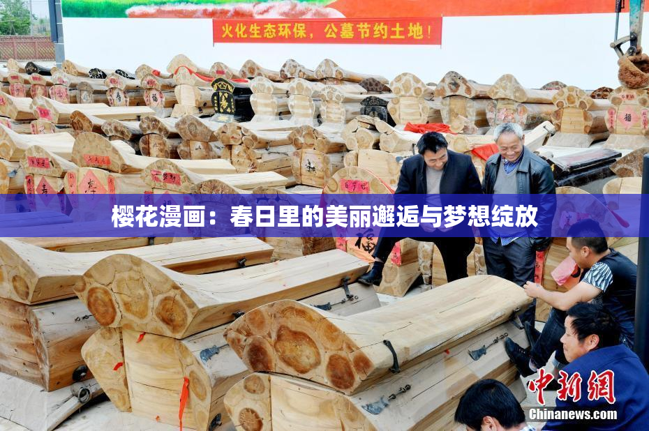 樱花漫画：春日里的美丽邂逅与梦想绽放