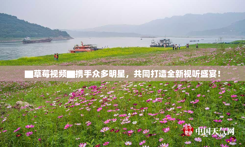 ▇草莓视频▇携手众多明星，共同打造全新视听盛宴！