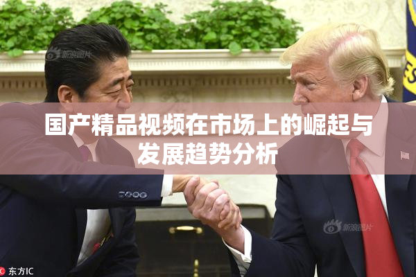 国产精品视频在市场上的崛起与发展趋势分析