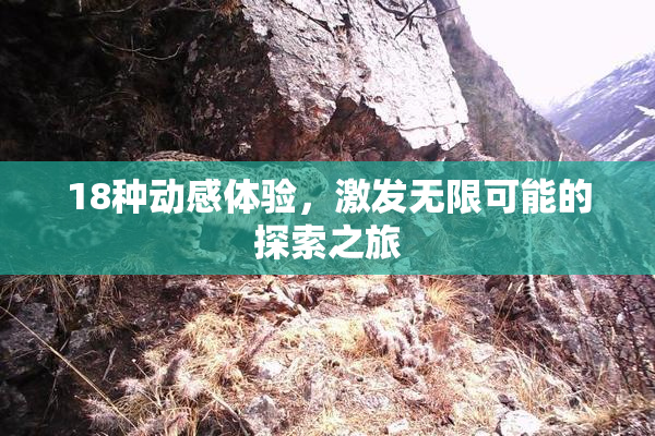 18种动感体验，激发无限可能的探索之旅