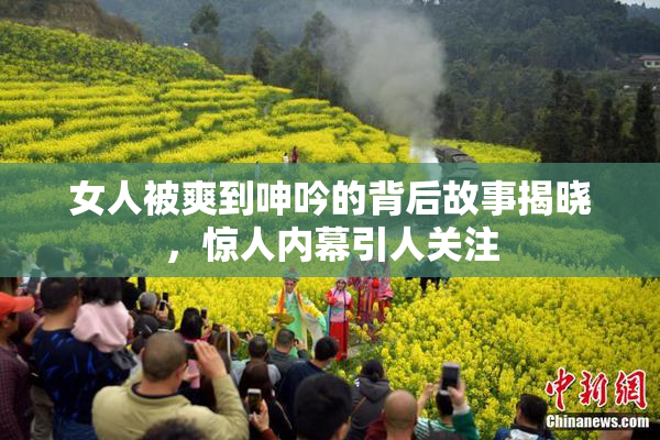 女人被爽到呻吟的背后故事揭晓，惊人内幕引人关注