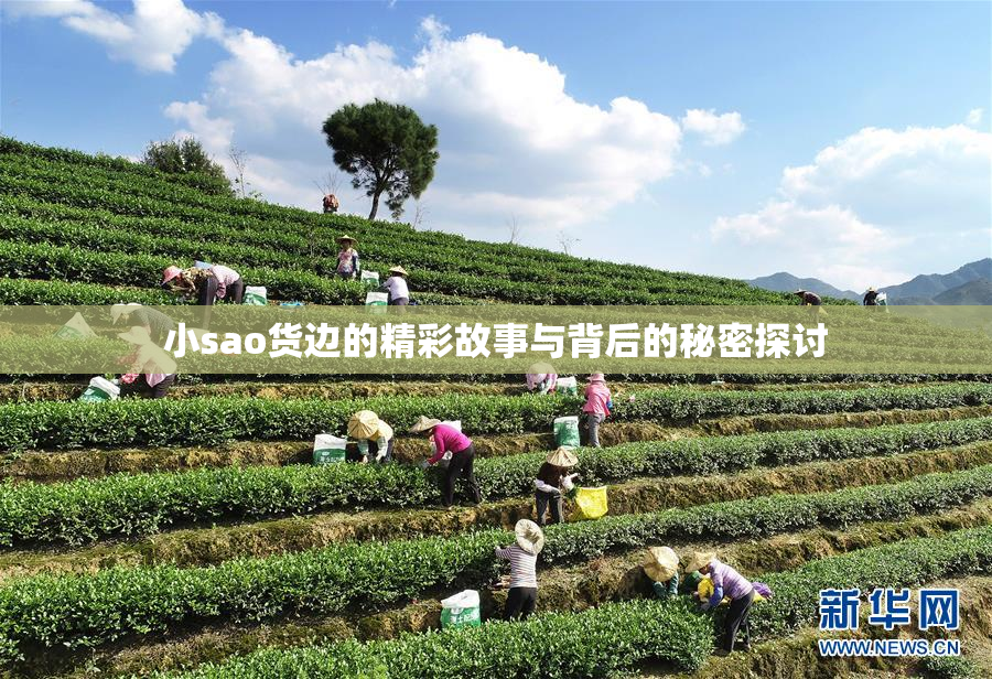 小sao货边的精彩故事与背后的秘密探讨
