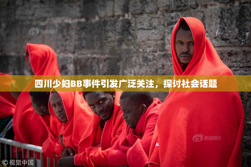 四川少妇BB事件引发广泛关注，探讨社会话题