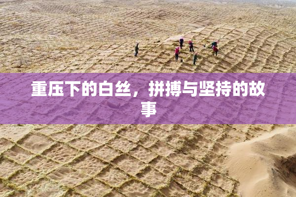 重压下的白丝，拼搏与坚持的故事