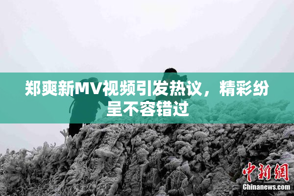 郑爽新MV视频引发热议，精彩纷呈不容错过