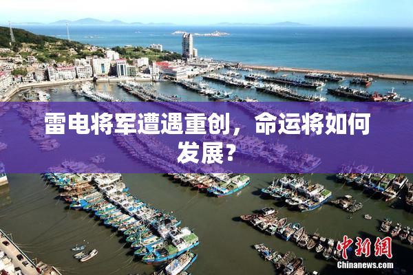 雷电将军遭遇重创，命运将如何发展？