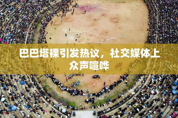 巴巴塔裸引发热议，社交媒体上众声喧哗
