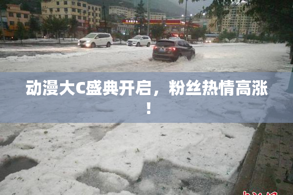 动漫大C盛典开启，粉丝热情高涨！
