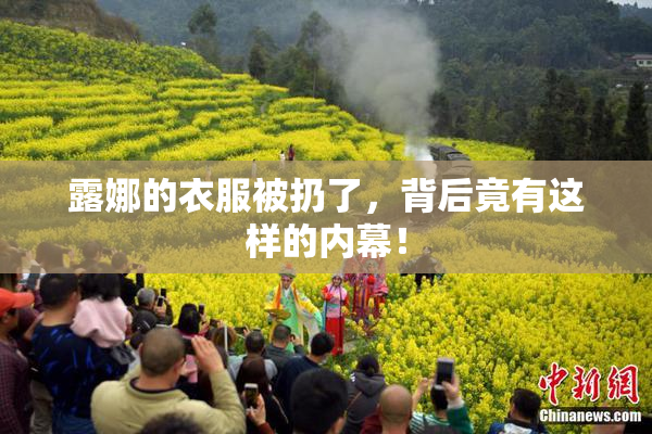 露娜的衣服被扔了，背后竟有这样的内幕！