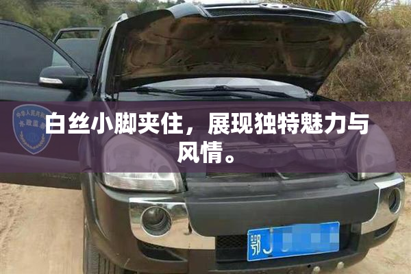 白丝小脚夹住，展现独特魅力与风情。