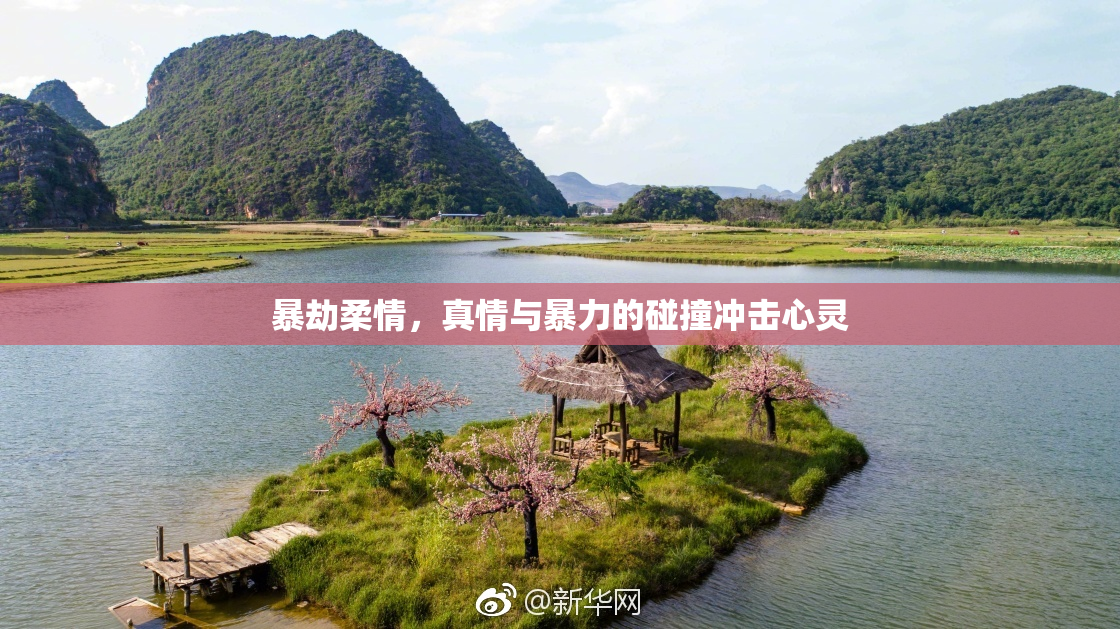 暴劫柔情，真情与暴力的碰撞冲击心灵